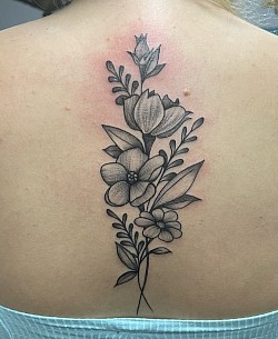 Elegant Flowers