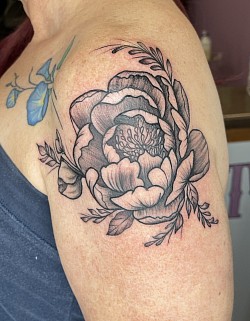 Peony
