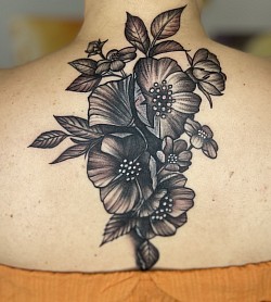 Cover up