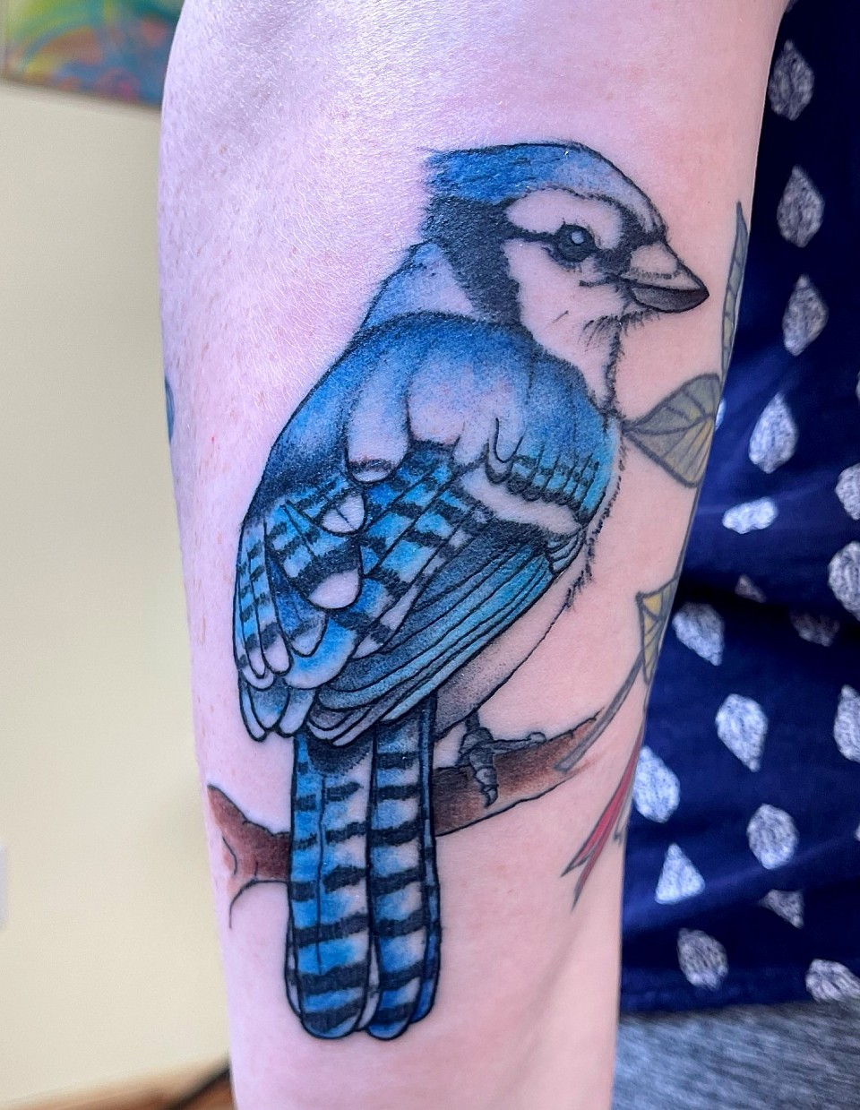 Blue Jay