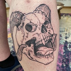 Skull with horns