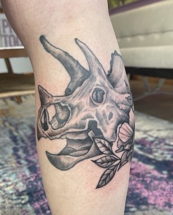 Triceratops