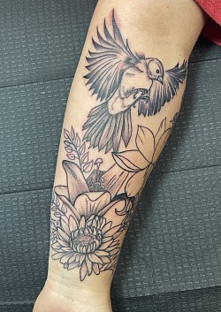 Bird in flight