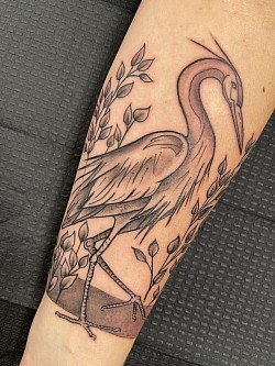 Blue heron