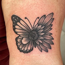 Butterfly flower mash up