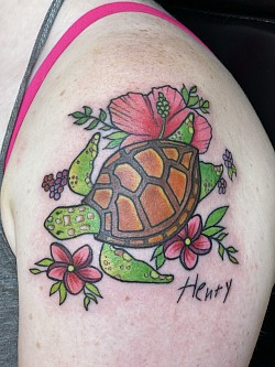 Sea turtle