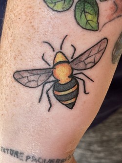 Small bee
