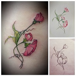Sweet pea