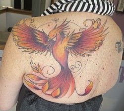 Phoenix!
