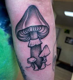 Mushroom