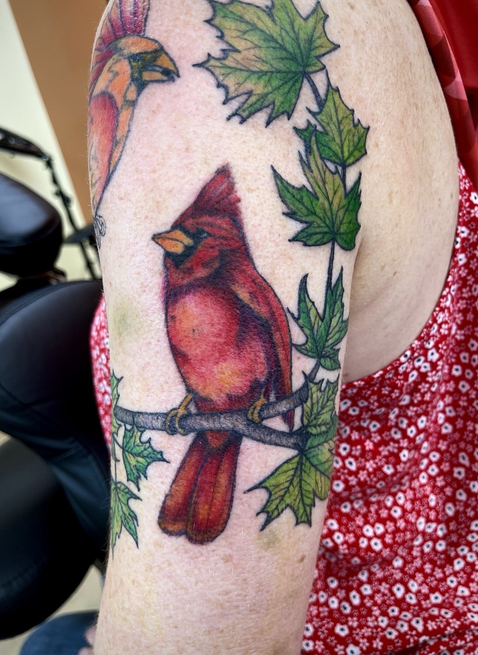 Cardinals